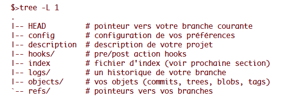 Git Repository Contents